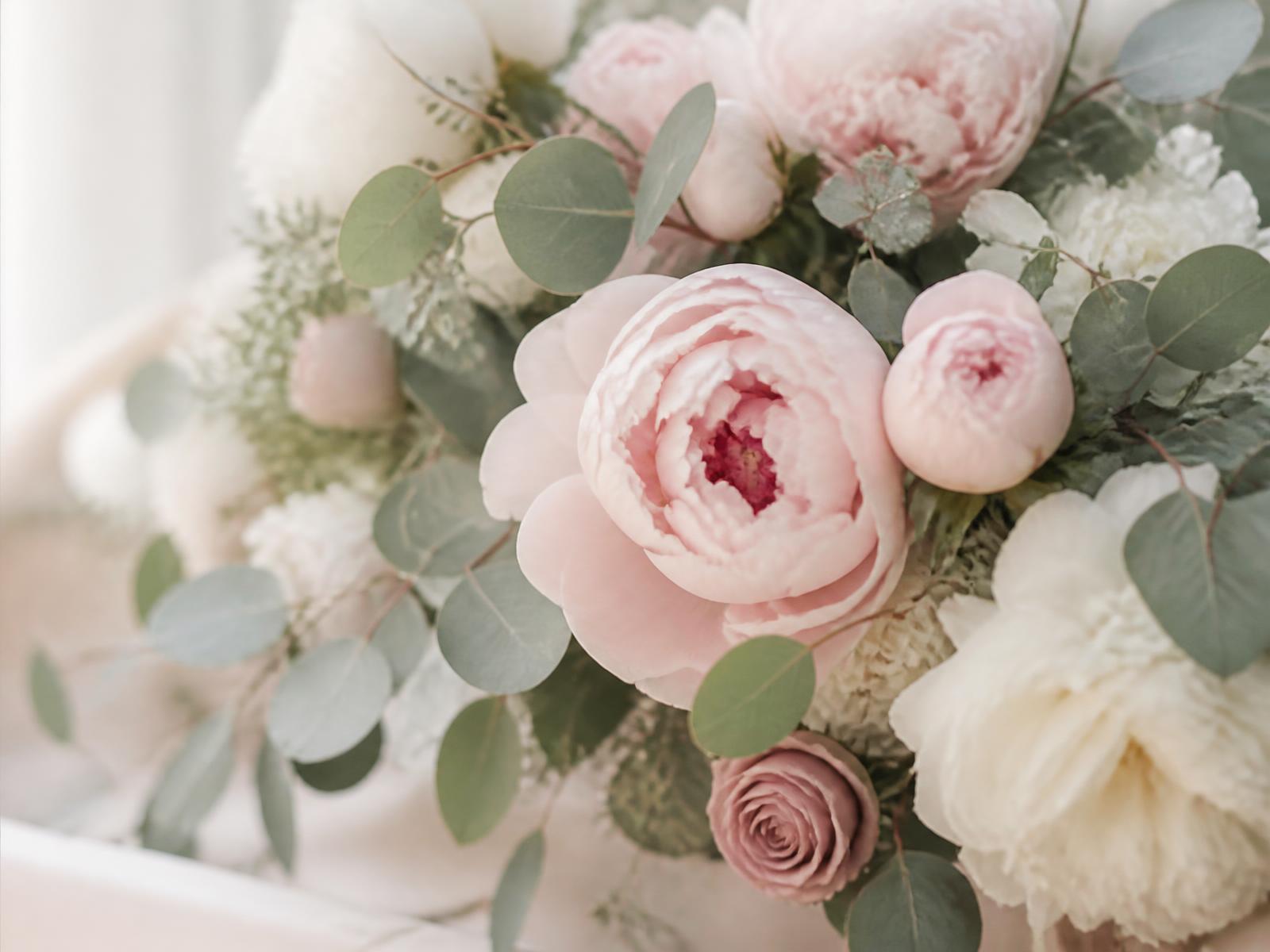 Soft blush peonies and eucalyptus in gentle morning light